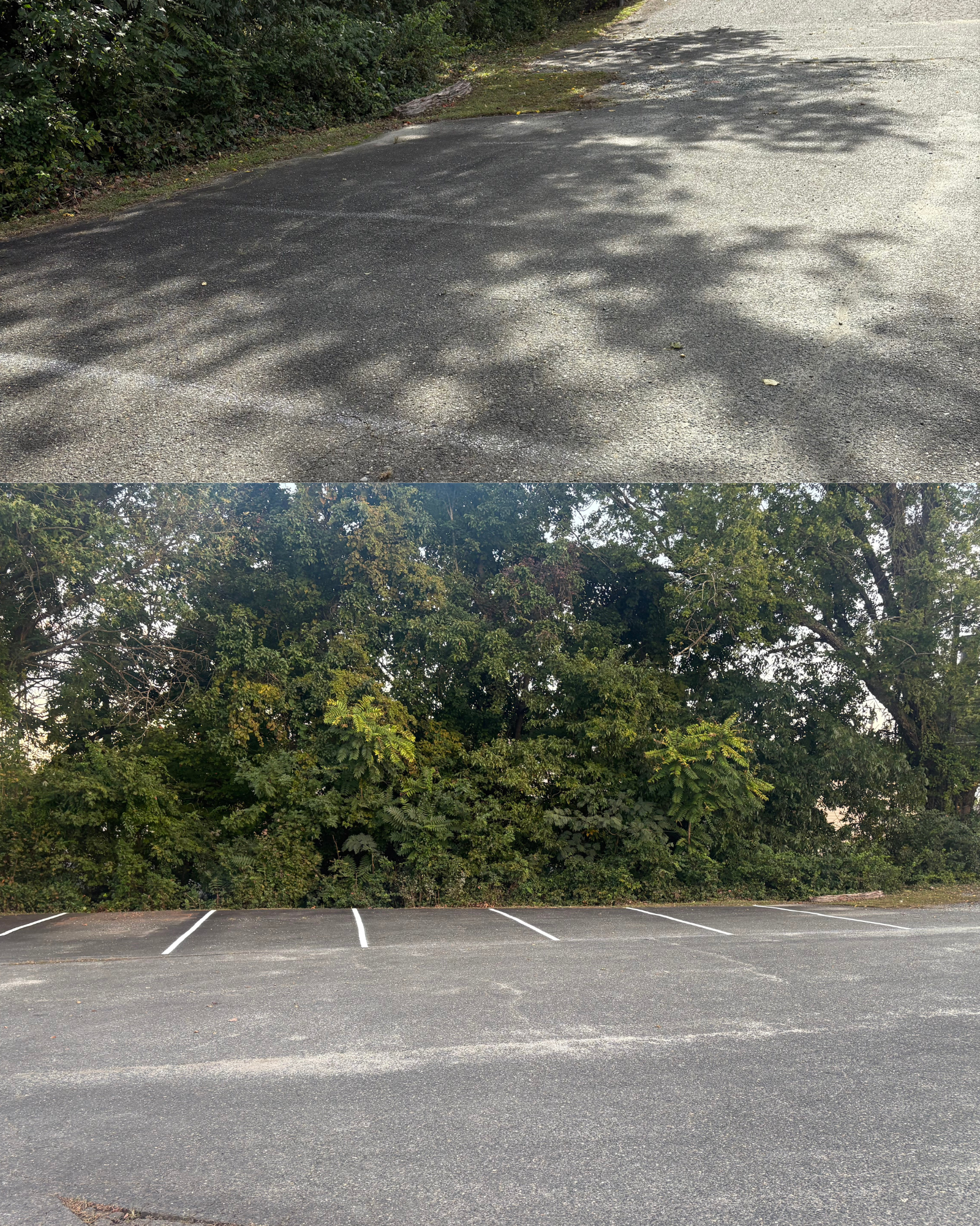 Before and After Striping Project 4